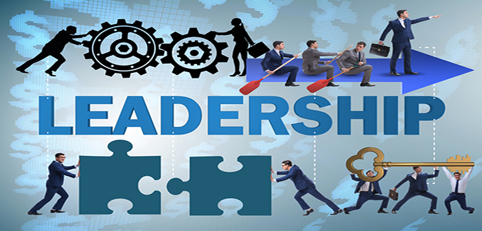 Leadership Development Programs – Do They Work or Not? - A Category ...